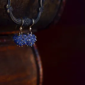 Claudia - Tanzanite, 14k Gold Filled Cluster Earrings