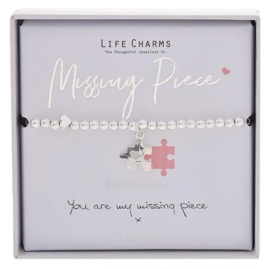 Life Charms Bracelet Missing Piece